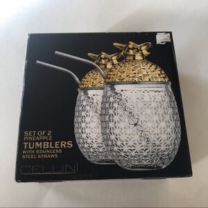 NWT Glass Pineapples with Stainless Steal Straws